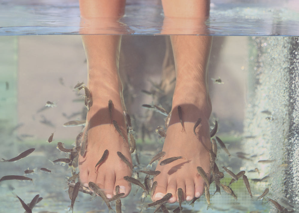 POISSONS EXFOLIANTS – Concept Beaute